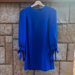 Banana Republic Royal Blue Long Sleeve Dress